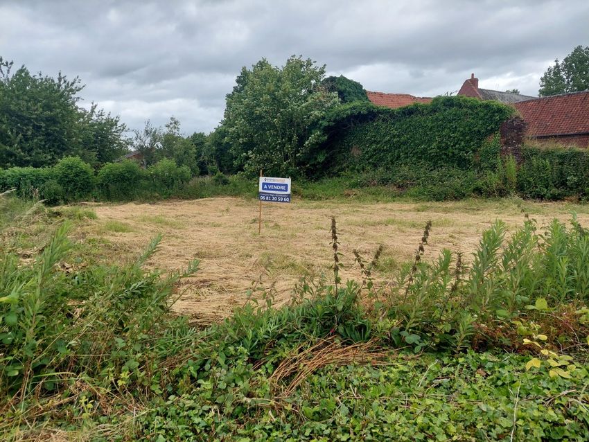 Image de terrain à Beaumetz-lès-Loges