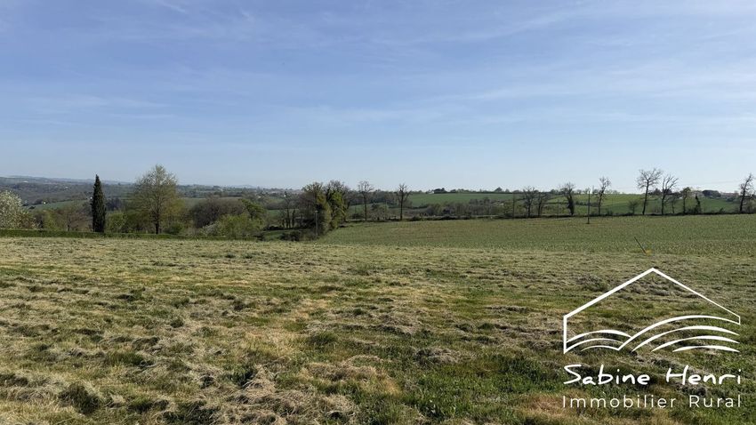 Image de terrain à Mirandol-Bourgnounac