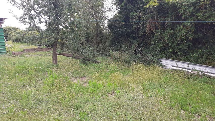 Image de terrain à Épinay-sur-Orge