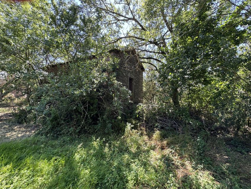 Image de terrain à Arnac-sur-Dourdou