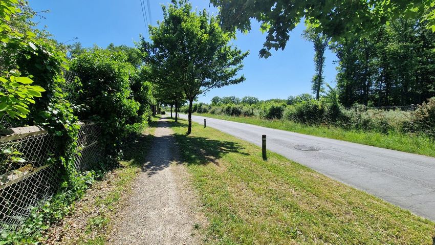 Image de terrain à Sans numéro Rue des Carnaux