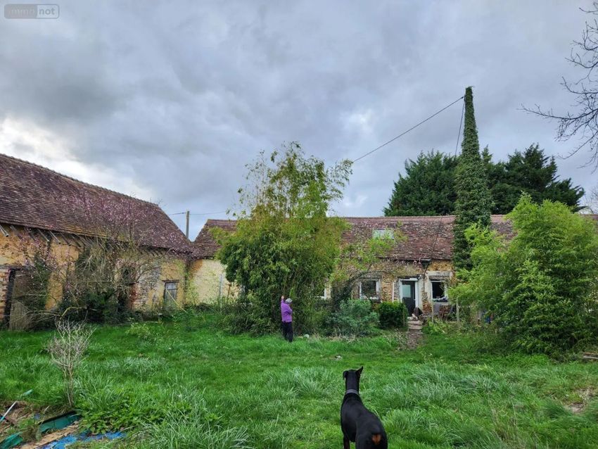 Image Jardin à  maison individuelle de Clermont-Créans