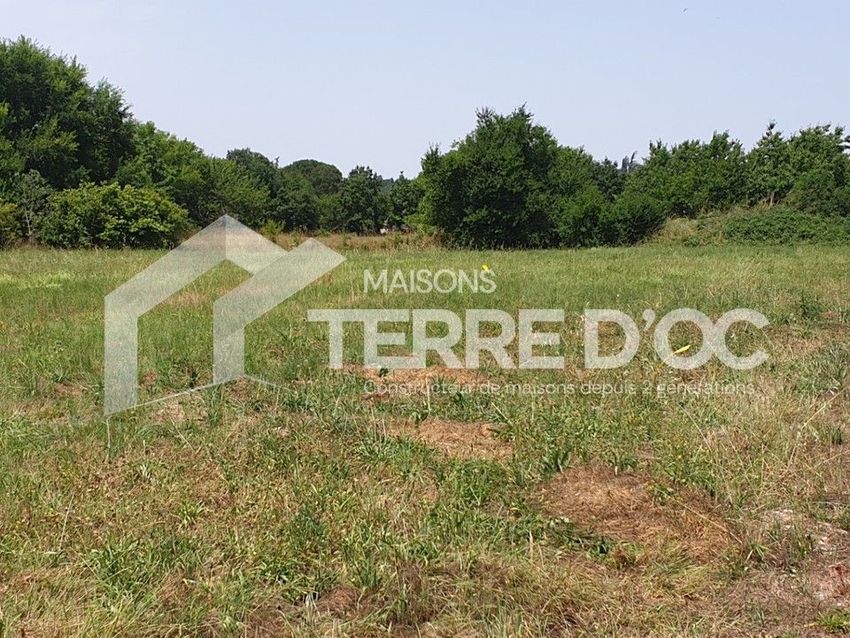Image de terrain à Briatexte
