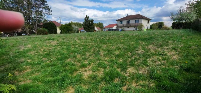 Image de terrain à Vézelois