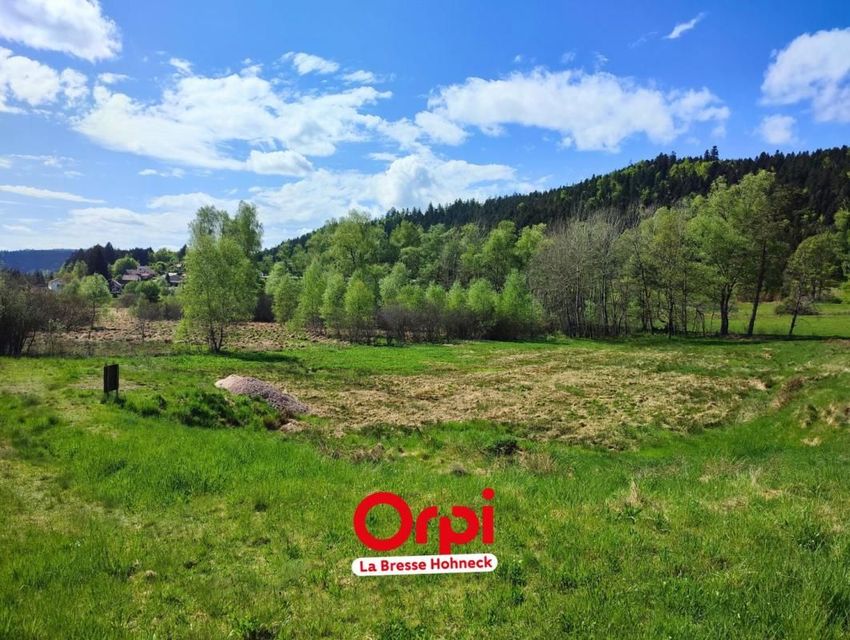 Image de terrain à Le Tholy