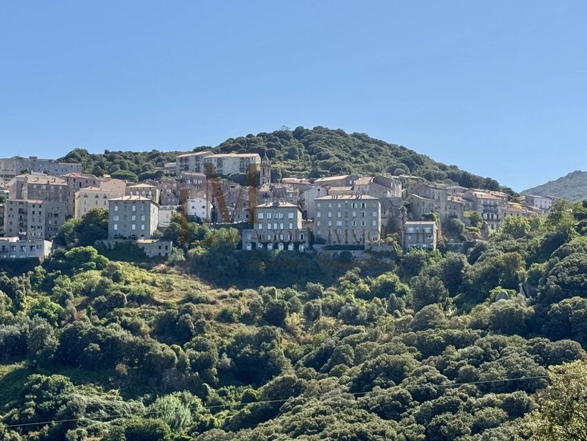 Image Vue à  maison de maître de Sartène