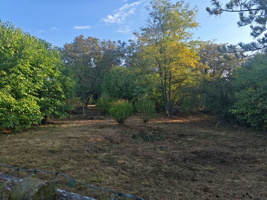 Image de terrain à Cursan