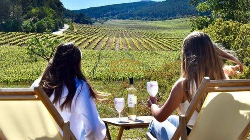 Image de  propriété agricole à Vic-la-Gardiole