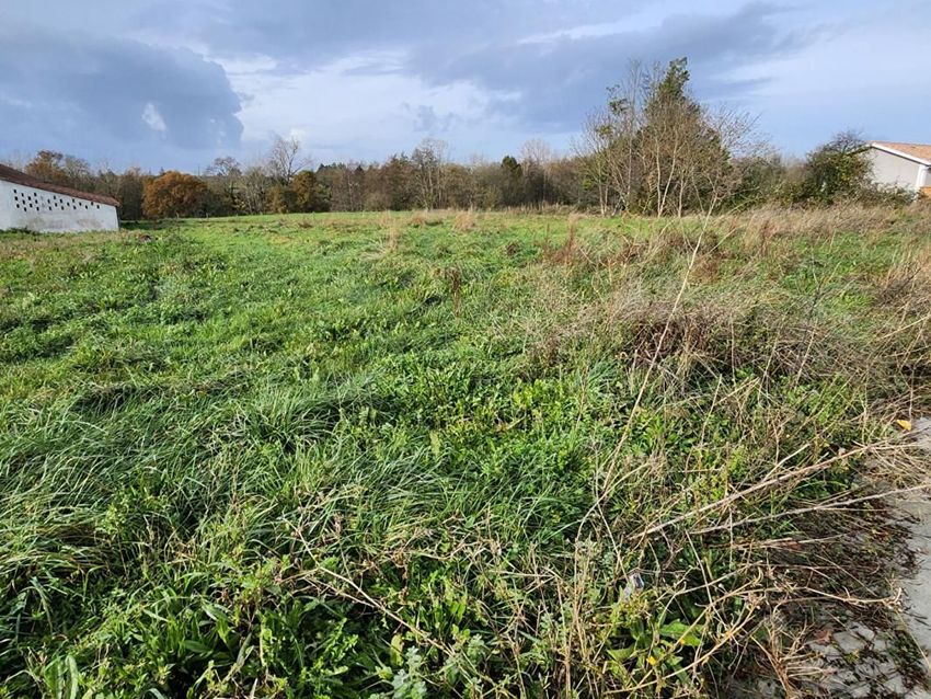 Image de terrain à Val-de-Livenne