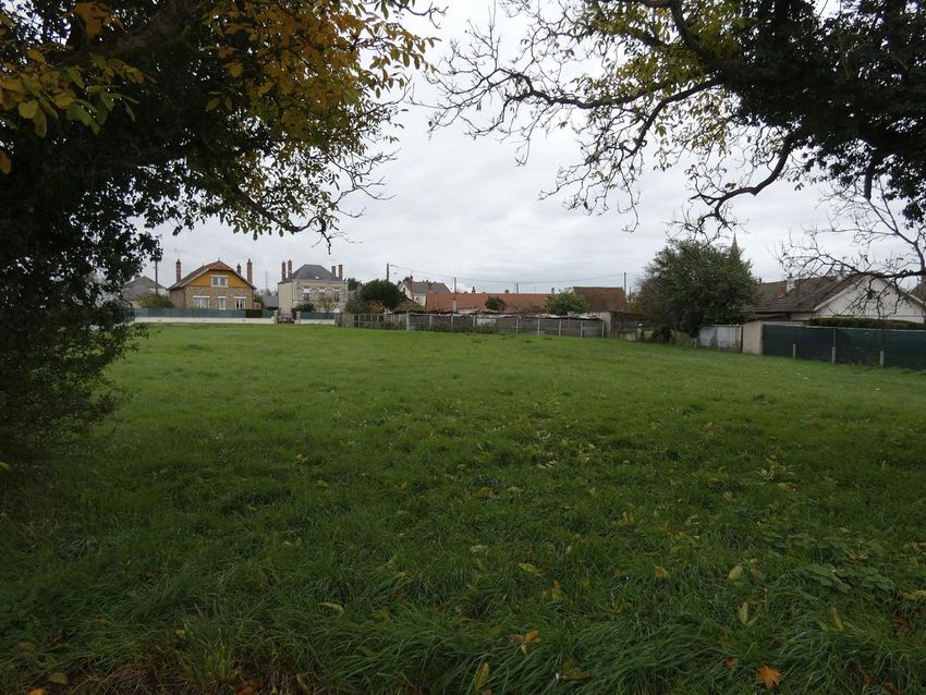 Image de terrain à Ouzouer-sur-Loire