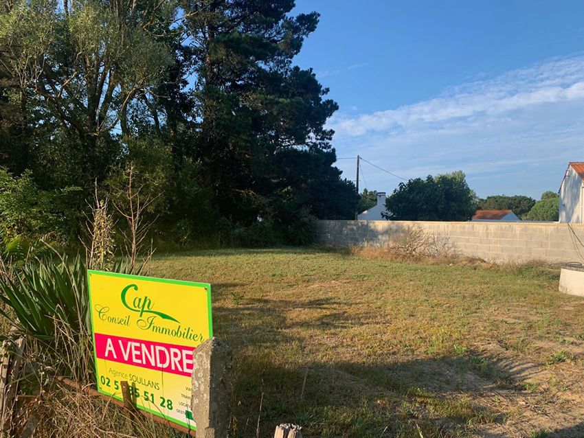 Image de terrain à Saint-Hilaire-de-Riez