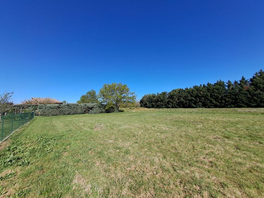 Image de terrain à Tarabel