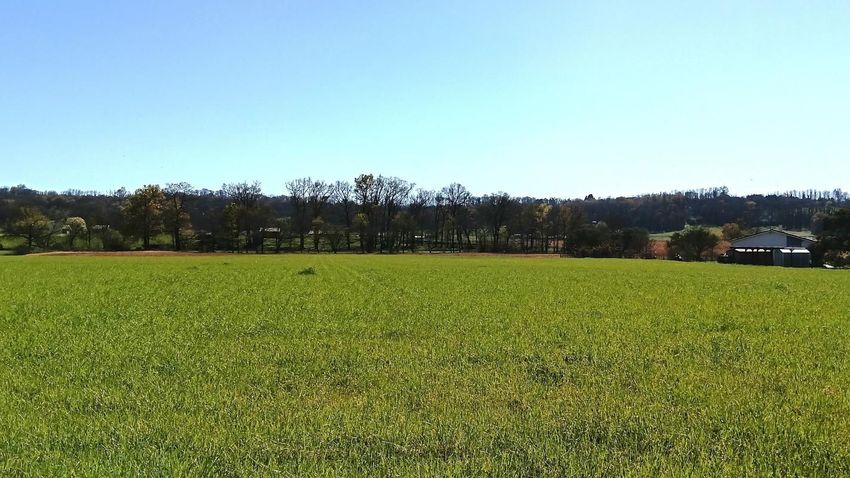 Image de terrain à Toulouzette