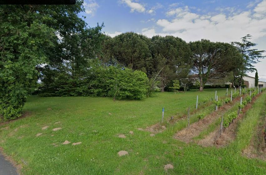 Image de terrain à Lalande-de-Pomerol