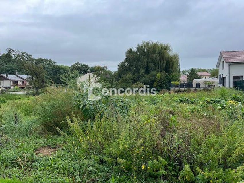 Image de terrain à Belleville-sur-Meuse