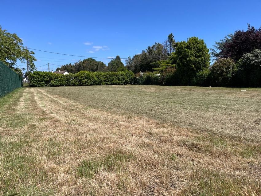 Image de terrain à Saint-Jean-le-Blanc