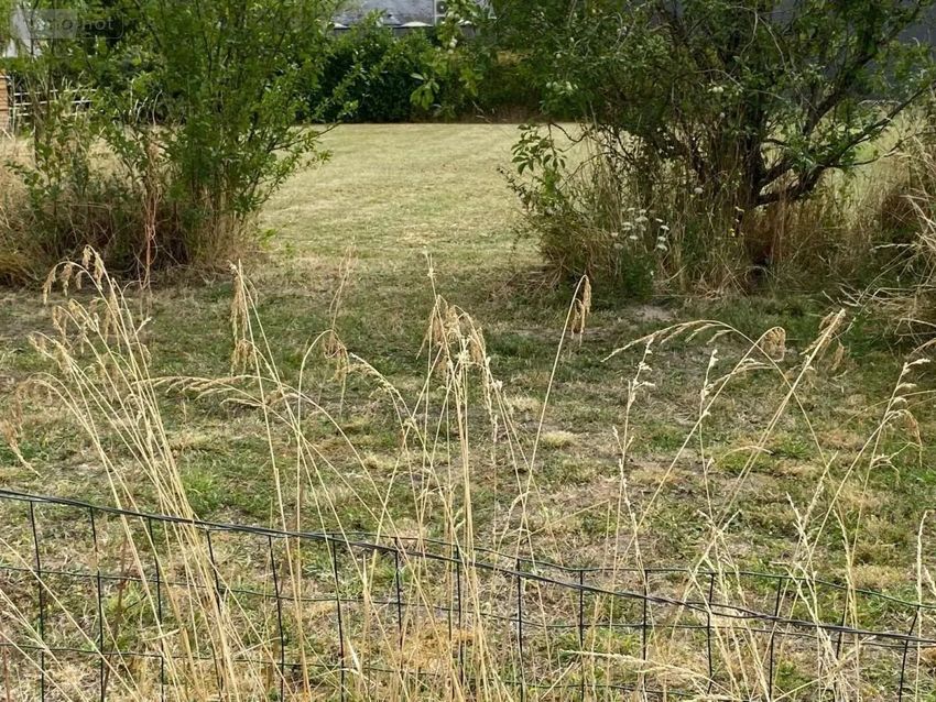 Image de terrain à Bossée