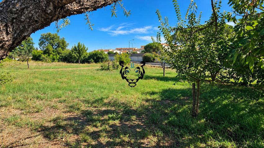 Image de terrain à Puget-sur-Argens