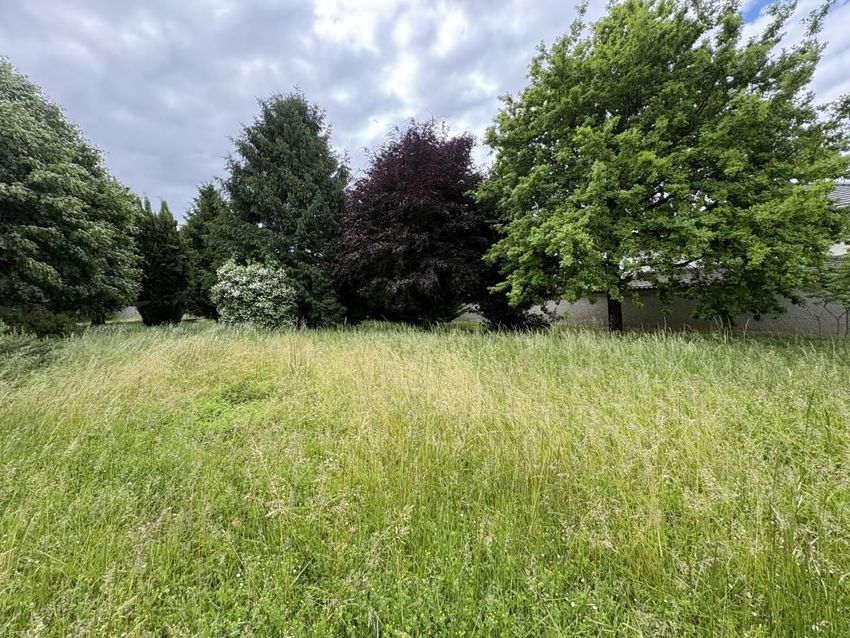 Image de terrain à Cailloux-sur-Fontaines