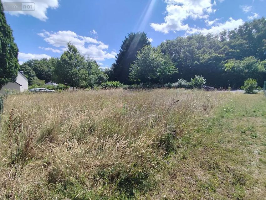 Image de terrain à Gennes-Val-de-Loire