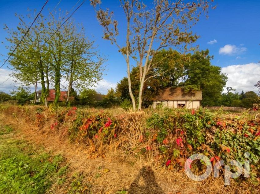 Image Jardin à  maison individuelle de Lyons-la-Forêt