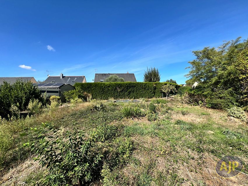 Image de terrain à Segré-en-Anjou Bleu