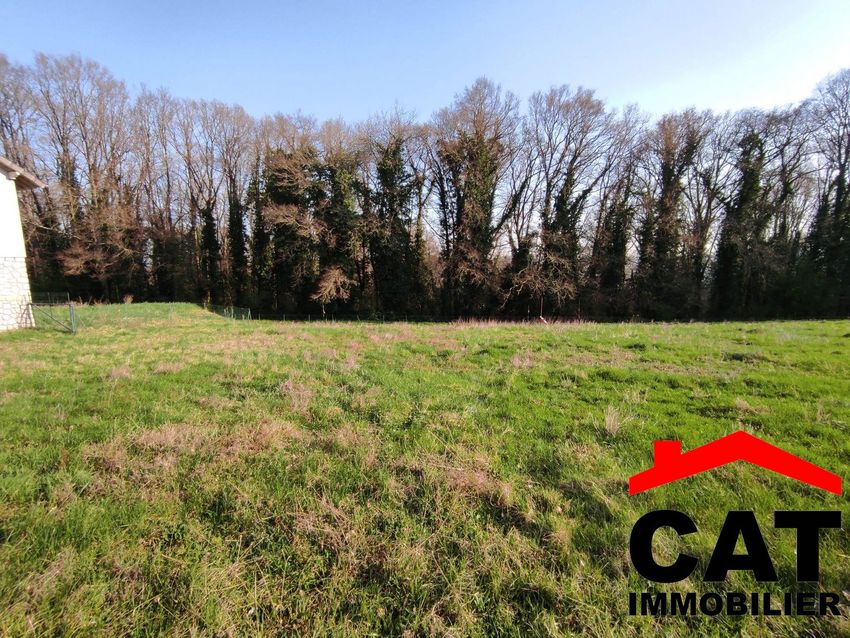 Image de terrain à Vernou-la-Celle-sur-Seine