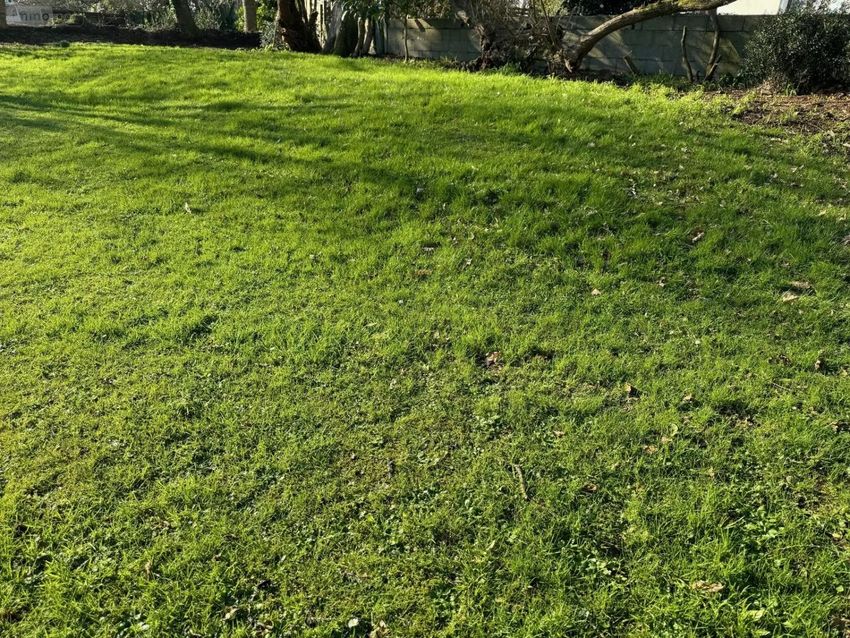 Image de terrain à Plougastel-Daoulas
