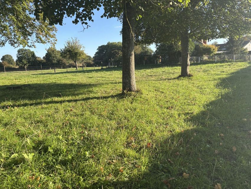 Image de terrain à Crécy-en-Ponthieu