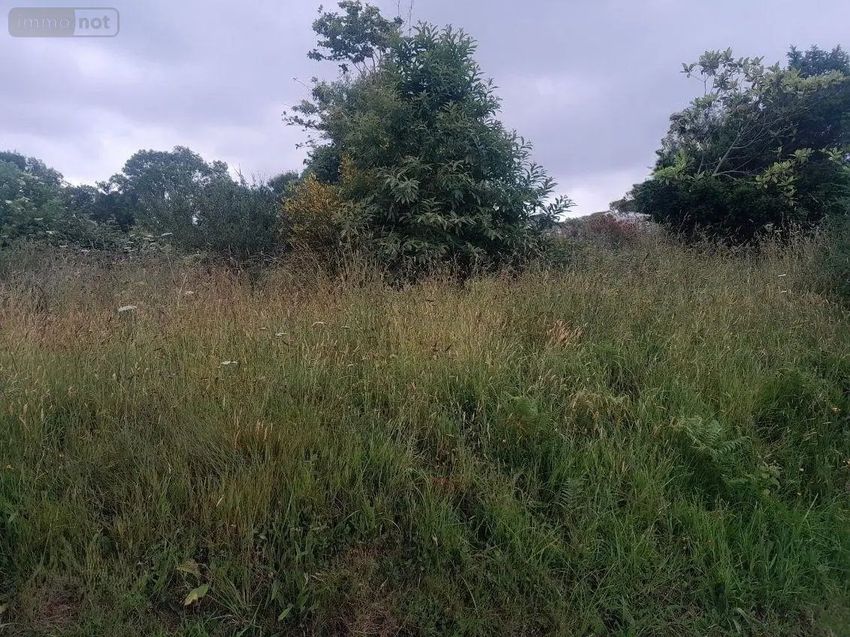 Image de terrain à Loperhet