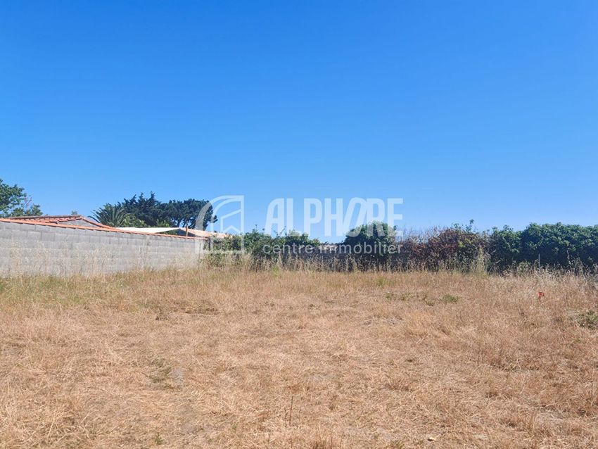 Image de terrain à Noirmoutier-en-l'Île