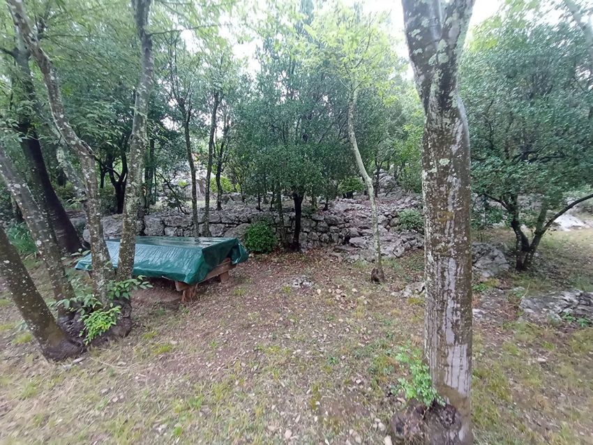 Image Jardin à  villa de Sauve