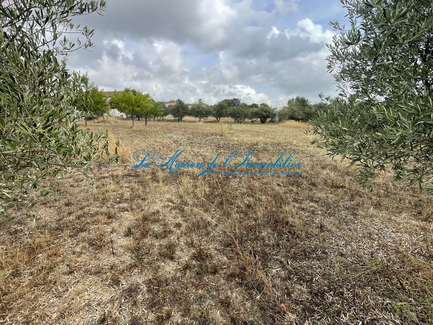 Image de terrain à Saint-Hilaire-de-Brethmas