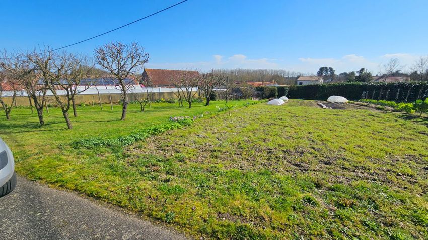 Image de terrain à Basse-Goulaine