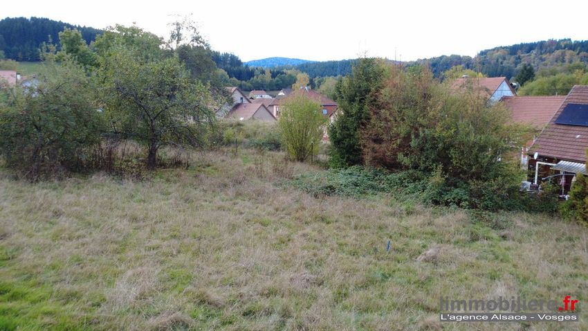 Image de terrain à Saint-Blaise-la-Roche