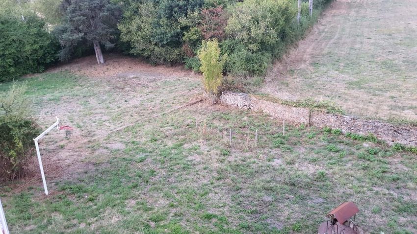 Image de terrain à Marmagne