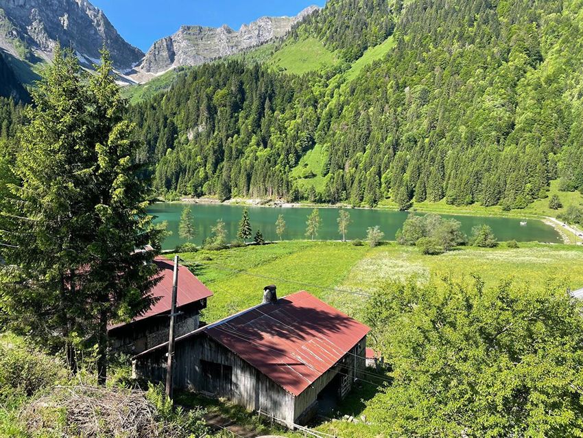 Image Vue à  propriété agricole de Abondance