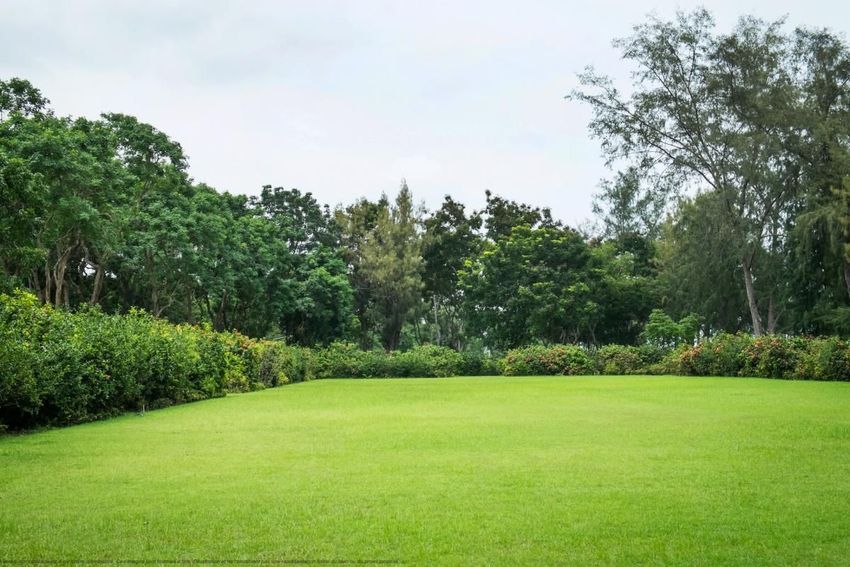 Image Jardin à duplex de Bonneville-sur-Touques