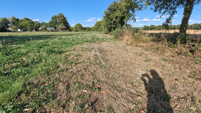 Image de terrain à Grosbreuil