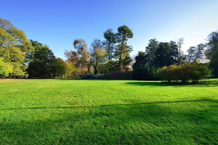 Image de terrain à Varennes-Jarcy