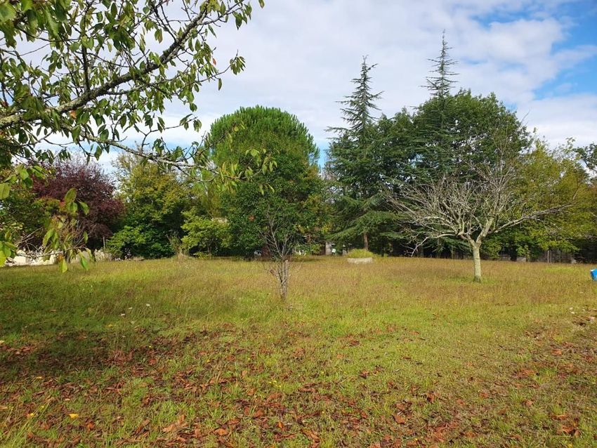 Image de terrain à Tresses