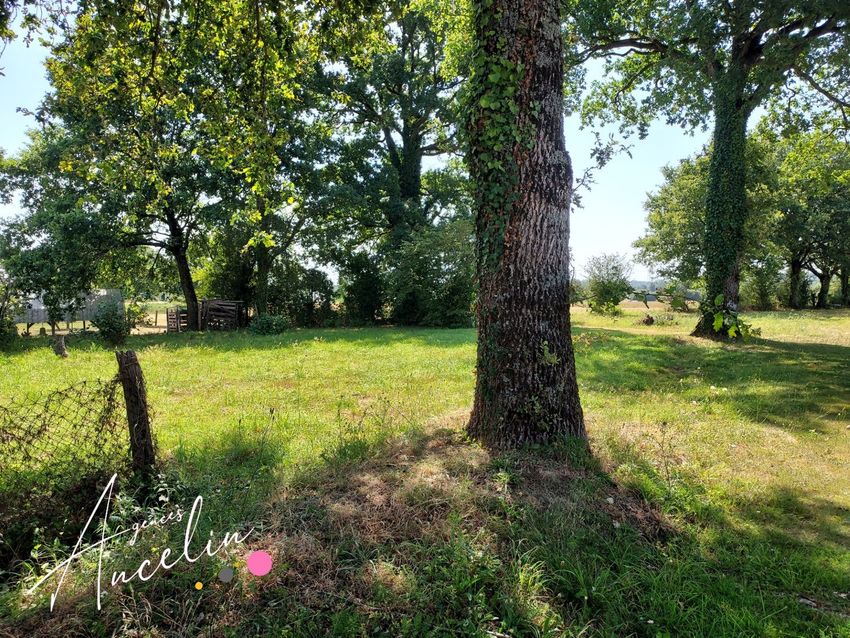 Image de terrain à Crossac