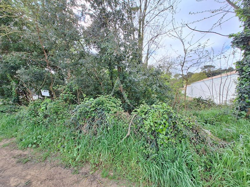 Image de terrain à La Tranche-sur-Mer