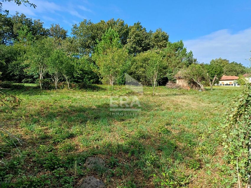 Image de terrain à Lucbardez-et-Bargues