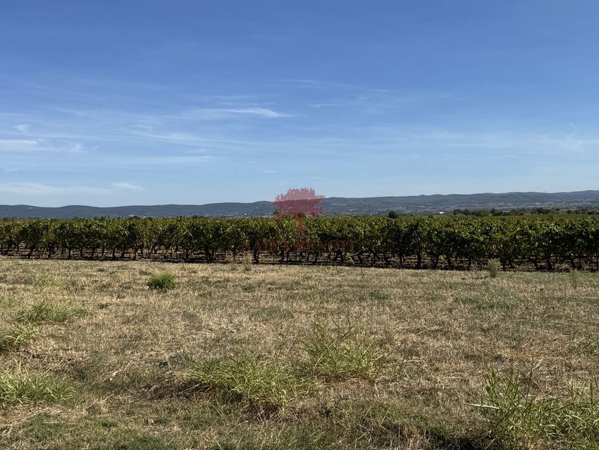 Image Vue à terrain de Saint-Saturnin-de-Lucian