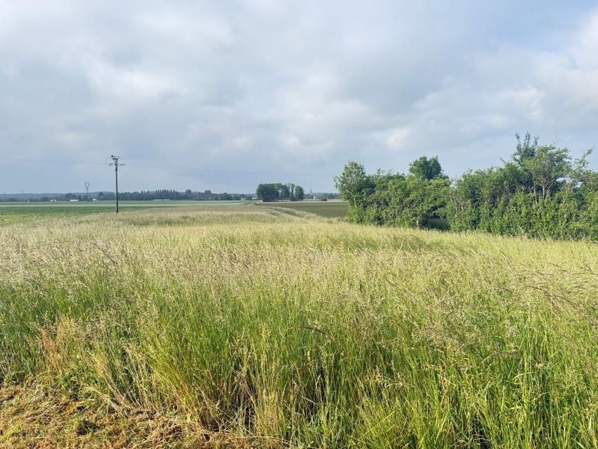 Image de terrain à Brabant-le-Roi