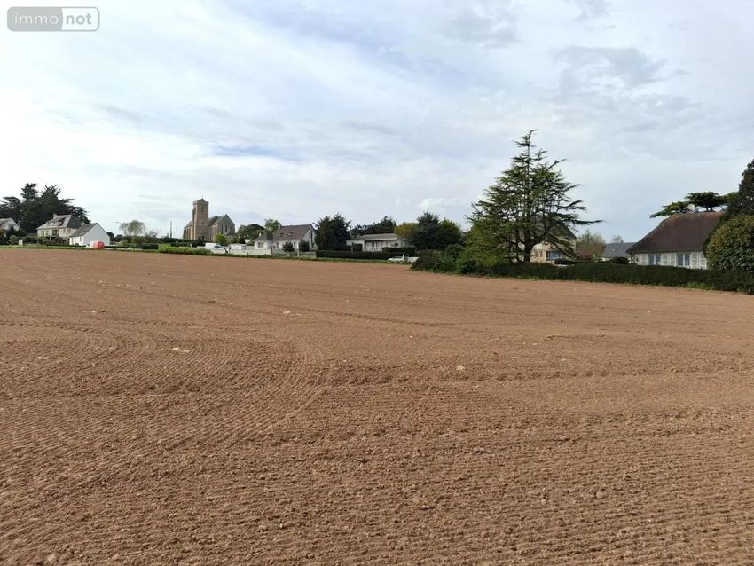 Image de terrain à Quettehou