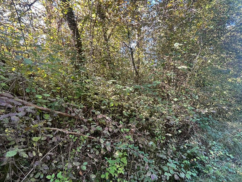 Image de terrain à Bassillac et Auberoche