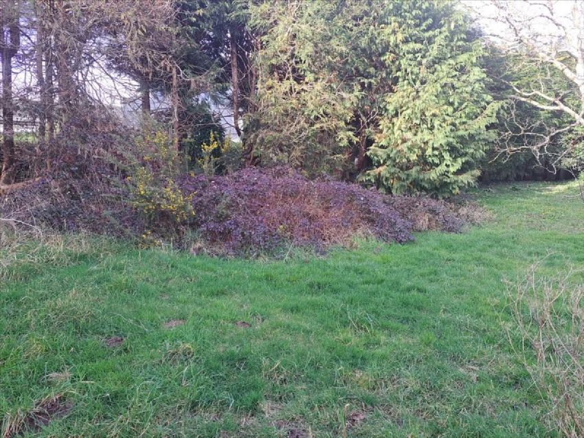 Image de terrain à Quimperlé