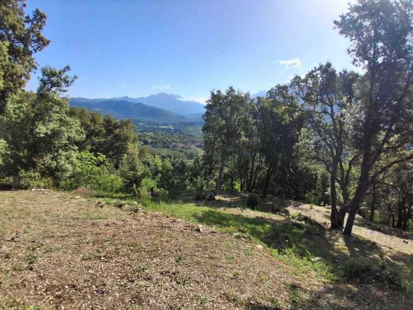 Image Vue à terrain de Tavaco